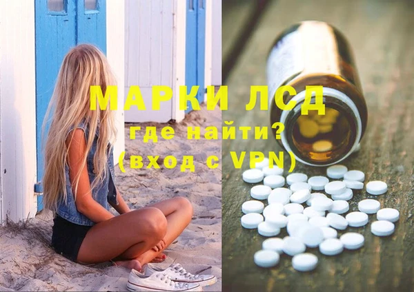 индика Арсеньев