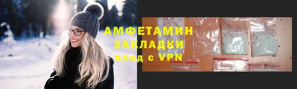 индика Арсеньев