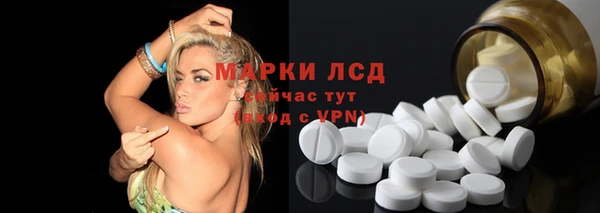 индика Арсеньев