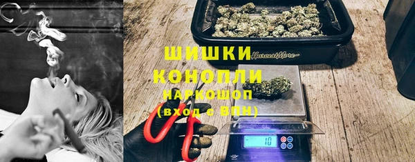 индика Арсеньев