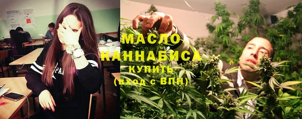 индика Арсеньев