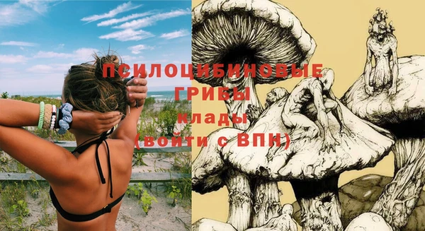 МДПВ Аркадак