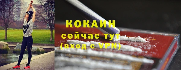 PSILOCYBIN Струнино