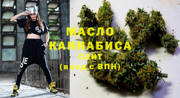 индика Арсеньев