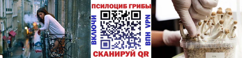 Псилоцибиновые грибы GOLDEN TEACHER  купить наркотики сайты  Славск 